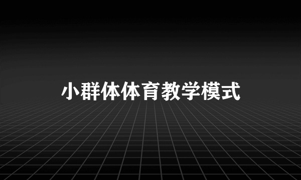 小群体体育教学模式