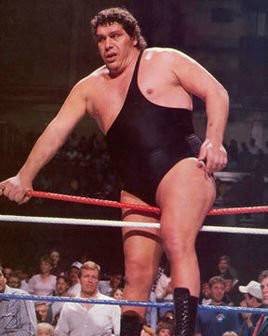 Andre the Giant(法国摔角手)