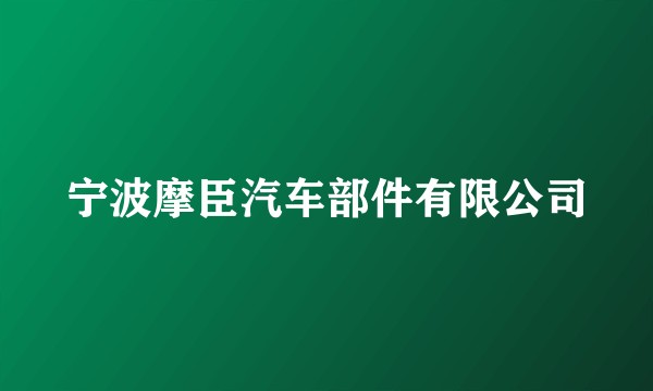 宁波摩臣汽车部件有限公司