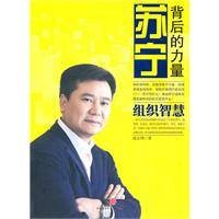 苏宁:背后的力量