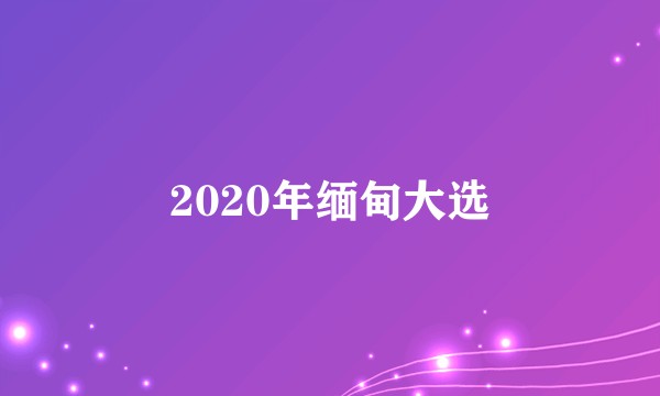 2020年缅甸大选