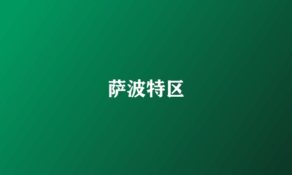 萨波特区