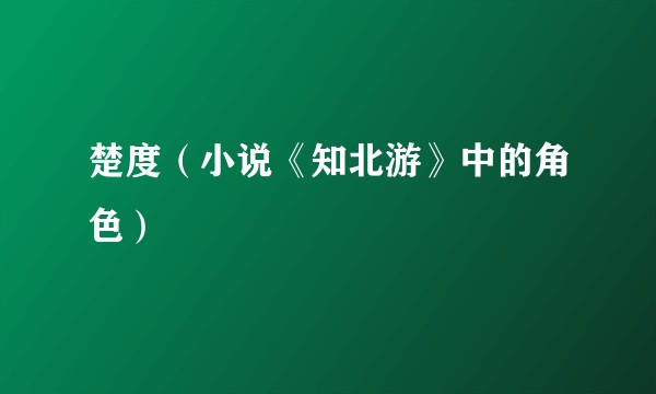 楚度（小说《知北游》中的角色）