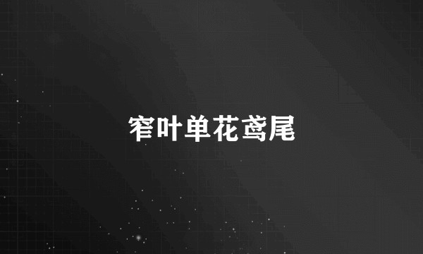 窄叶单花鸢尾