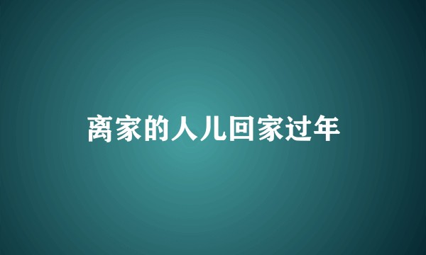 离家的人儿回家过年