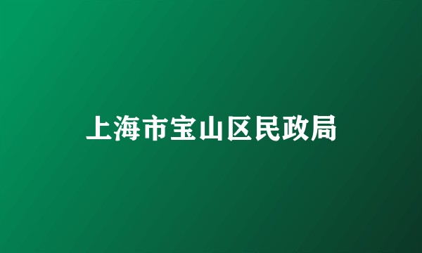 上海市宝山区民政局