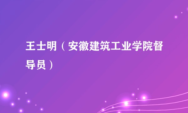 王士明（安徽建筑工业学院督导员）