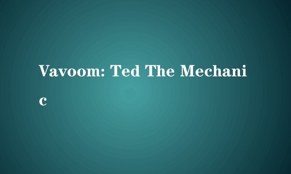 Vavoom: Ted The Mechanic