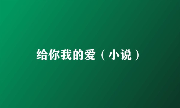给你我的爱（小说）