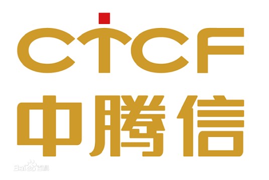 中腾信金融信息服务（上海）有限公司