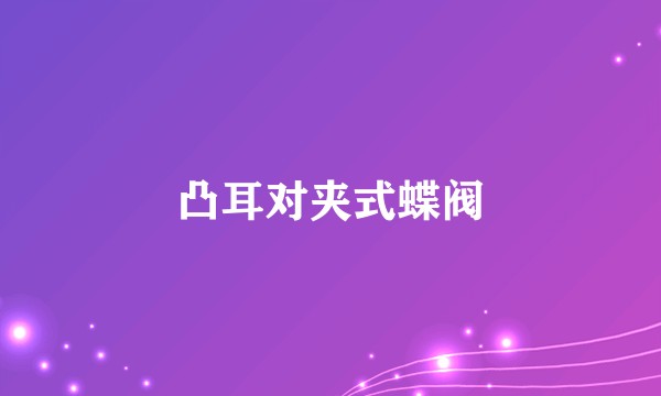 凸耳对夹式蝶阀