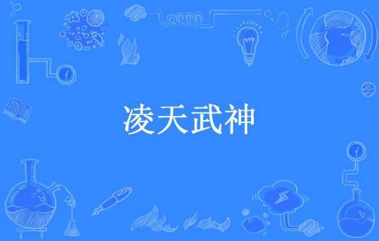 凌天武神（风迹所著小说）
