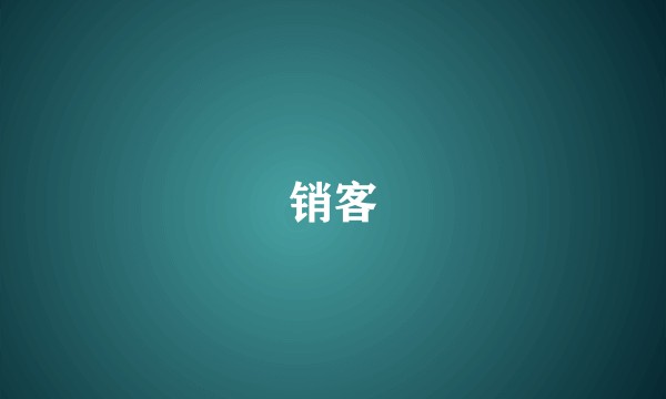 销客