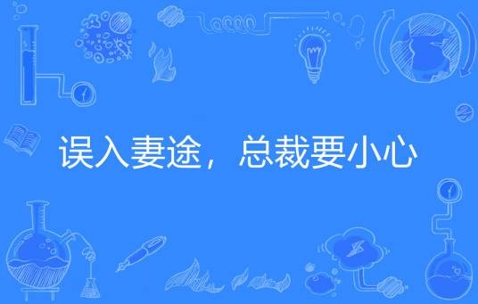 误入妻途，总裁要小心