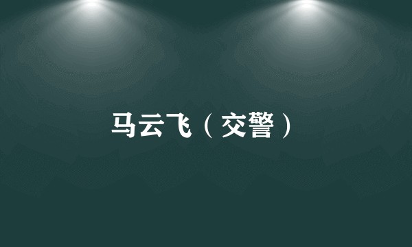 马云飞（交警）