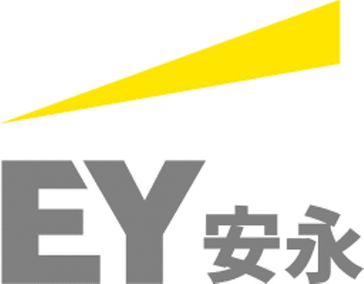 安永（世界四大会计师事务所之一）
