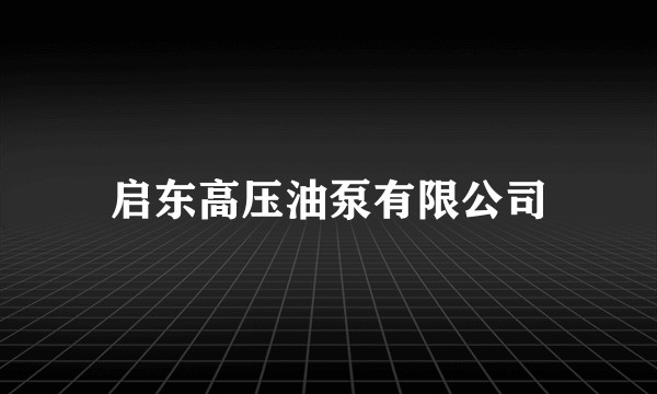 启东高压油泵有限公司