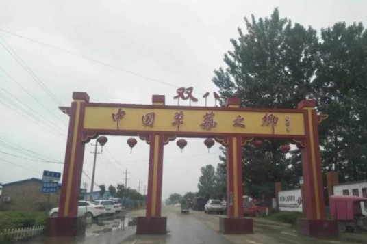 双八镇