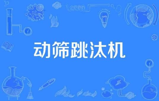 动筛跳汰机