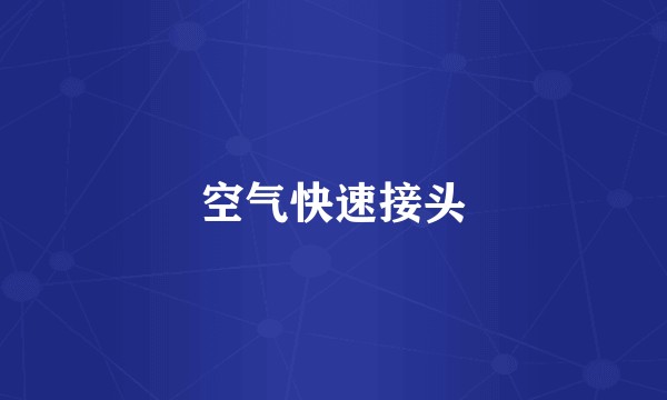 空气快速接头