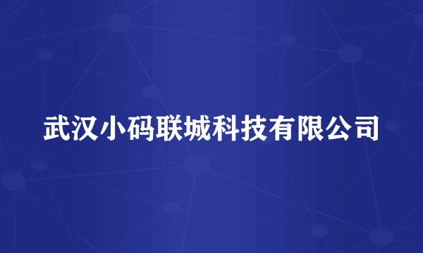 武汉小码联城科技有限公司