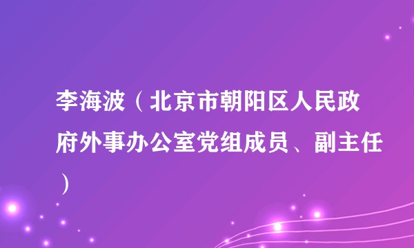 李海波（北京市朝阳区人民政府外事办公室党组成员、副主任）