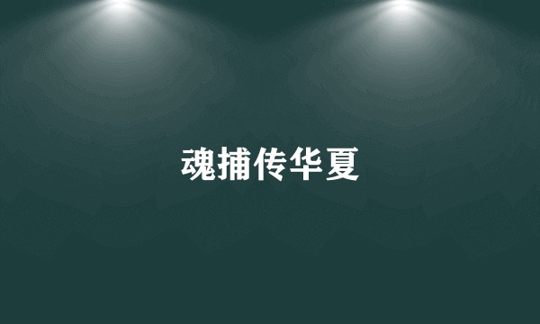 魂捕传华夏