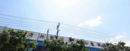 甘肃省兴陇兰州牛肉拉面职业培训学校