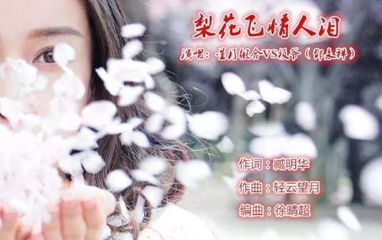梨花飞情人泪