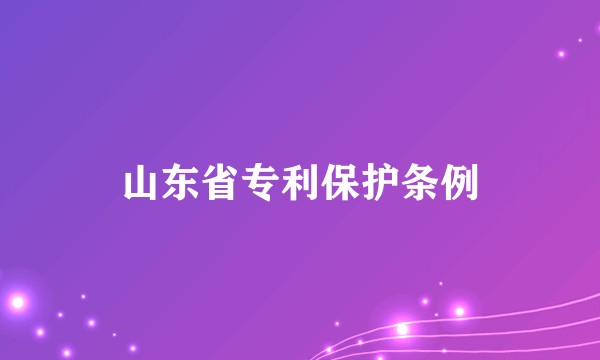山东省专利保护条例