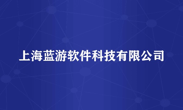 上海蓝游软件科技有限公司