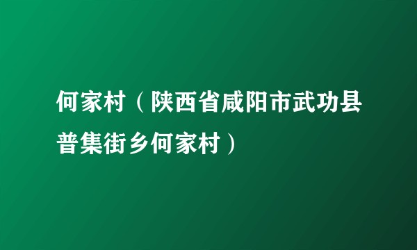 何家村（陕西省咸阳市武功县普集街乡何家村）