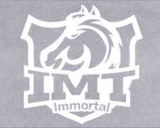 IMT战队