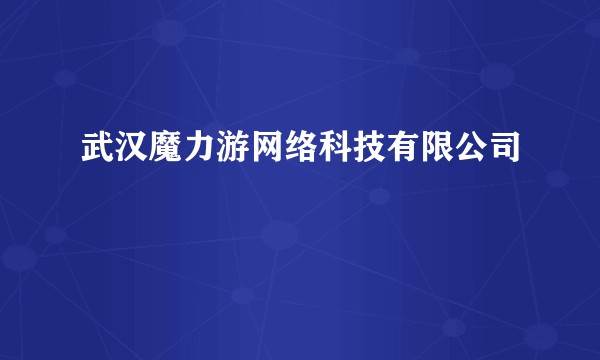 武汉魔力游网络科技有限公司