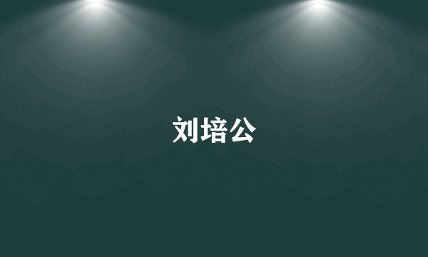 刘培公