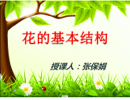 花的基本结构