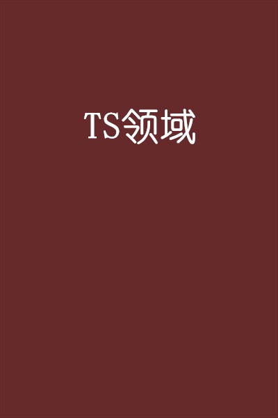 TS领域