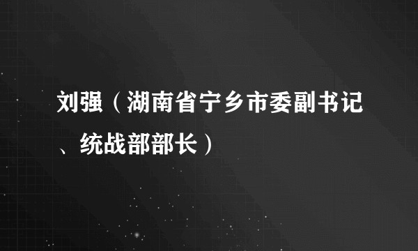 刘强（湖南省宁乡市委副书记、统战部部长）