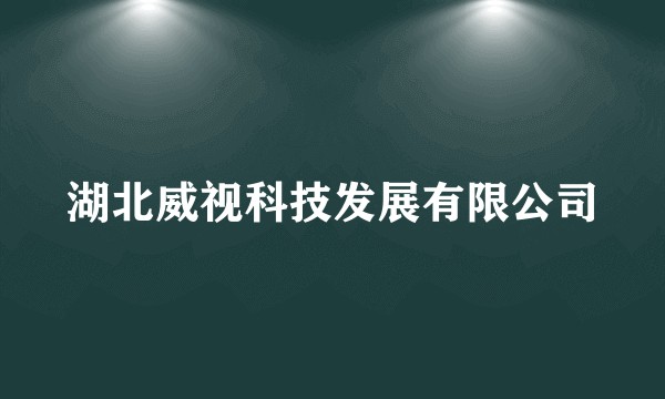 湖北威视科技发展有限公司