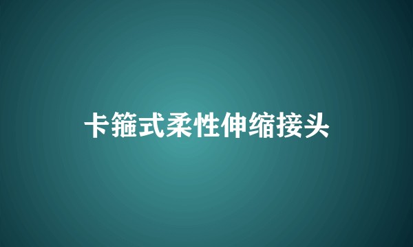 卡箍式柔性伸缩接头