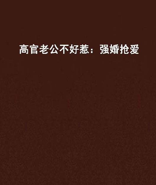 高官老公不好惹:强婚抢爱