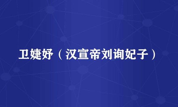 卫婕妤（汉宣帝刘询妃子）