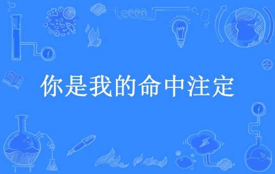 你是我的命中注定（鱼洄所著小说）