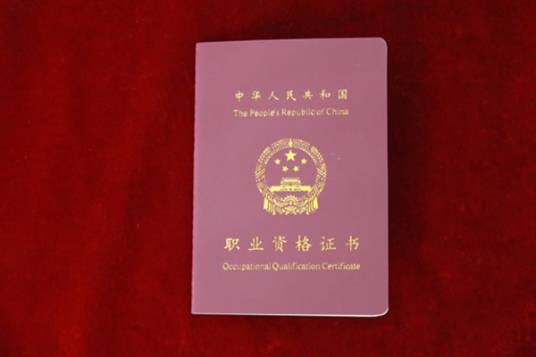 职业指导师