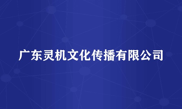 广东灵机文化传播有限公司