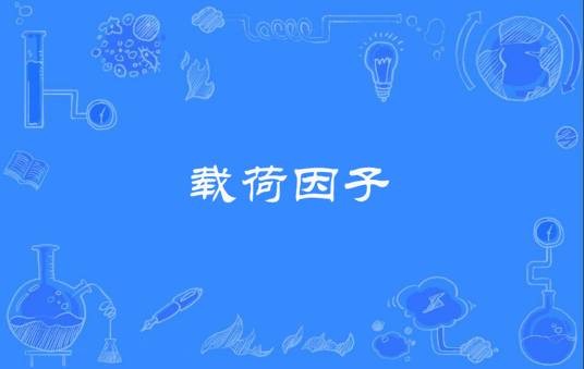 载荷因子