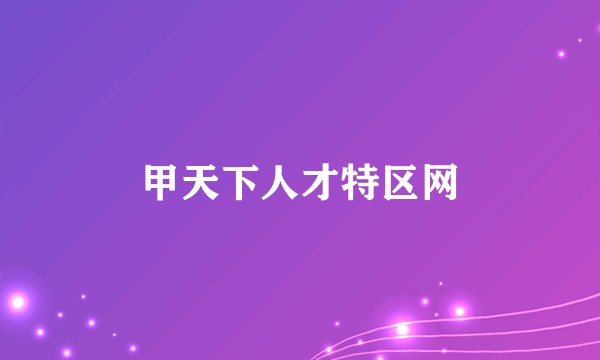 甲天下人才特区网