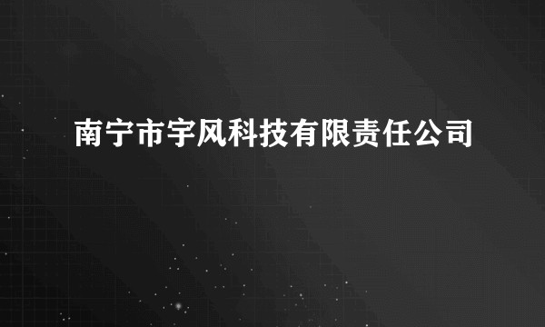 南宁市宇风科技有限责任公司
