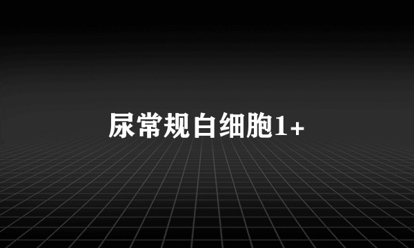 尿常规白细胞1+