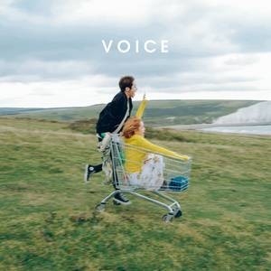 voice(Standing Egg音乐专辑)